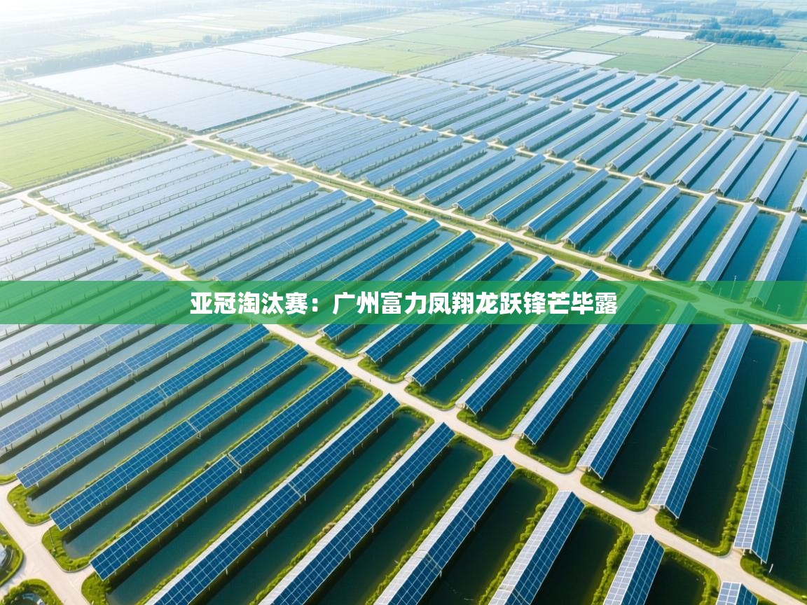 亚冠淘汰赛：广州富力凤翔龙跃锋芒毕露  第2张